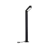 Paulmann 94547 Lámpara de Exterior LED Plug & Shine de orientación Vertical IP65, 1 x 6 W, Antracita, Metal, plástico, 3000 K
