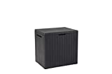 Keter City Box - Arcón de ordenación exterior, efecto madera, 113 L, multicolor, 44 x 58 x 55 cm
