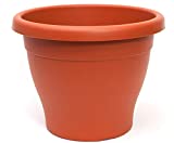 PAMEX Maceta Mediterranea (60cm)