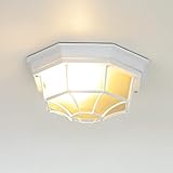 Licht-Erlebnisse Lámpara de techo para exterior rústica de color blanco E27 a 100W IP44 para la iluminación de jardines con lámparas de techo de patio