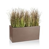 DECORAS Maceta VISIO 50 de Plástico - Cappuccino Mate - 100x40x50 cm - Resistente a Las Heladas y a los Rayos UV (8 Años de Garantía) - Jardinera de Plástico
