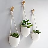 Kazai.® | Jarrones de Pared de Porcelana | Juego de 3 Piezas | Incluye Ganchos de Madera | Blanco Mate