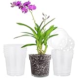 DRLE 10 macetas de orquídeas transparentes para vivero, macetas de plástico con agujero para plantas de interior de orquídeas, etc. (11,5 cm)