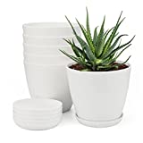 KINGLAKE 6 Piezas Macetas de plástico de 14 cm Macetas para Exteriores Macetas de jardinería para Interiores Balcón Oficina al Aire Libre, Blanco