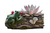 ELENANO Macetas Decorativas Originales - Macetero Interior Exterior - Maceteros Cemento Animales 25cm