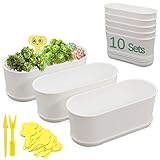 SYITCUN 10x Maceteros Rectangular con Bandeja,22 x 9 x 8,5cm,Blanca Plástico Planificadores con Agujero Drenaje,Jardinera Alféizar Maceta Para Cactus Para Decoración Moderna,Plantas Suculentas