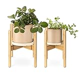 Navaris Soportes Ajustables para Plantas - Set 2X Soporte de bambú para macetas MAX. 5 kg - Bases Decorativas con Patas Extensibles para maceteros