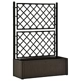 vidaXL Arriate con Enrejado y Sistema de Riego AutomГЎtico PГ©rgola Jardinera Macetero Flores Bandeja Plantas JardГ­n Porche DecoraciГіn Patio Moca