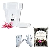 GebEarth - Kit de trasplante de orquídeas: Maceta Transparente para orquídeas, 4 Agujeros de Drenaje y platillo + Tierra específica para orquídeas 1L, Guantes de jardinería (16cm)