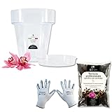 GebEarth - Kit de trasplante de orquídeas: Maceta Transparente para orquídeas, 4 Agujeros de Drenaje y platillo + Tierra específica para orquídeas 1L, Guantes de jardinería (14cm)