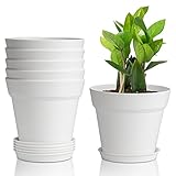 T4U 12,5cm Macetas plástico con platillo,Maceteros Decorativos Interior con Agujeros de Drenaje, Macetas para Plantas Flores,Decoración del Hogar Balcón Jardín,Juego de 6,Blanco