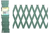 Celosia Pvc Verde Extensible 2x1 metros.