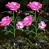EAAERR - Paquete de 2 luces solares de jardÃn con 6 flores de rosa rosa más grandes, luces de jardÃn alimentadas por energÃa solar impermeables para camino, patio, boda, fiesta (rosa)