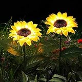 Amusingtao USA Energía Solar Flor Luces, 3PCS Solar Crisantemos Luces, Impermeable Jardín Solar Decorativo Flor Luces de Jardín Estaca Luces Exteriores para Patio/Yarda Decoración