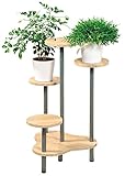 Kesper – Madera de Roble decoración – Soporte para Flores, Color marrón/Gris