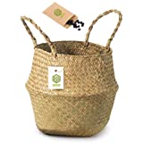 SEED Cesta mimbre + Semillas de Regalo - cestas mimbre - cestos de mimbre - cesto mimbre - cestas de mimbre - cesta de mimbre - cubremacetas (Tamaño L)