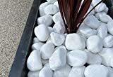 Piedra Canto Rodado Saco Blanco Especial (99%) (10 Kg, Tamaño: 40-60mm) para jardín o macetas decoración exterior