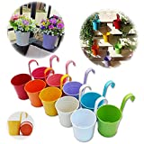GIOVARA Juego de 10 Jarrones de Flores de Metal Florero para Colgar Canasta sin Orificio de Drenaje, Gancho Desmontable, Balcón Jardín Decoración para el Hogar