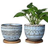 EPGardening Maceta azul retro suculenta maceta de cerámica geometría suculentas maceta grande redonda maceta maceta de interior y exterior para suculentas paquete de 2