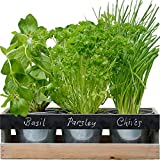 Viridescent Huerto en Casa / Huerto Interior - Kit de Cultivo Interior, Huerto Domestico Interior, 3 Macetas Reutilizables,Caja Jardinera Madera, Bandeja, Semillas, Pizarra y Tiza