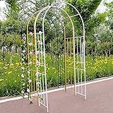 Gnova Arco de jardÃ­n al Aire Libre Marco Redondo Arco de Rosas Plantas,pÃ©rgola de Metal galvanizado,Subiendo Las Plantas,120Ã240cm,150x240cm,220x240cm,240x240cm,300x240cm